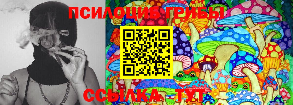 Галлюциногенные грибы GOLDEN TEACHER Новоалтайск